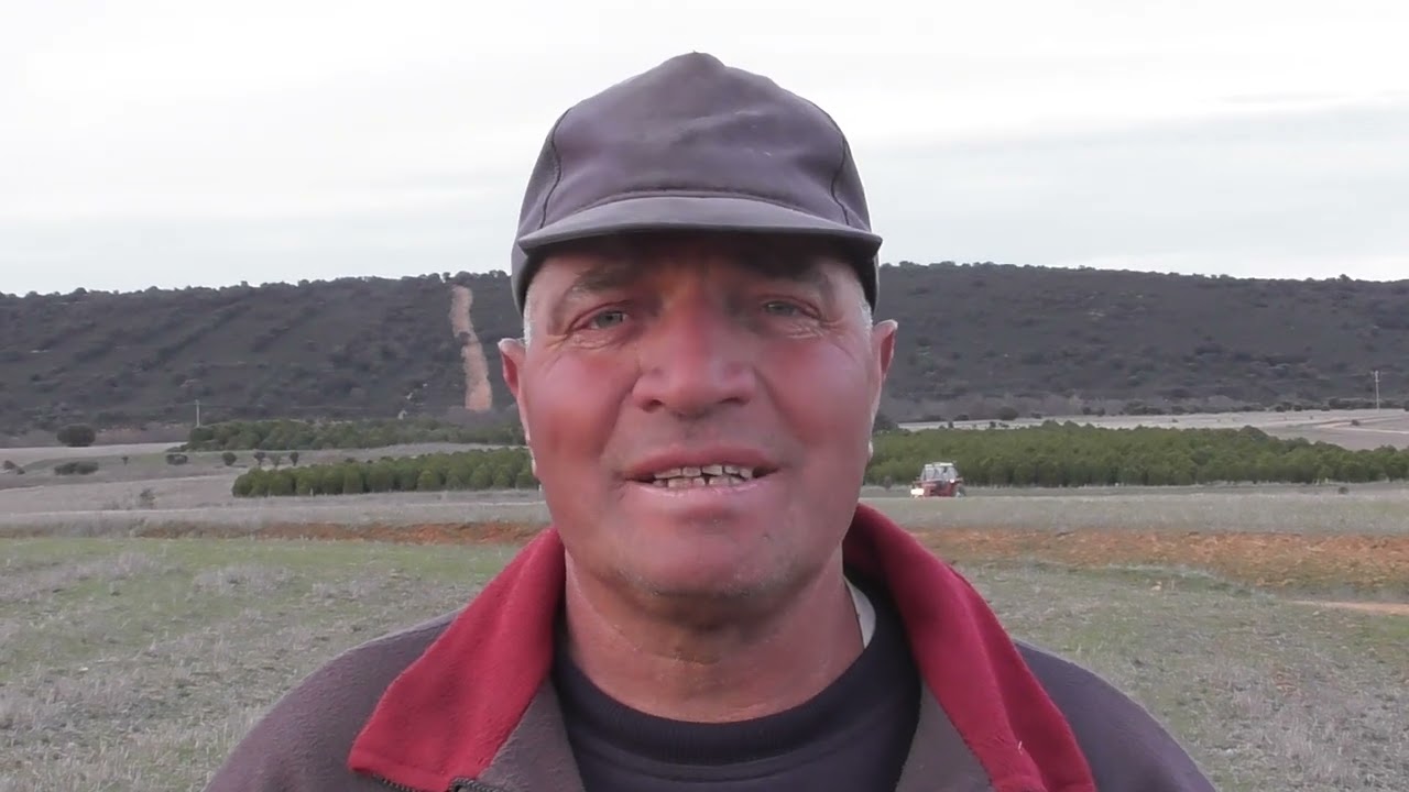 De lobo rapaz a mastín perdurable