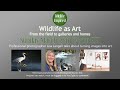 Wildlife as Art with Lisa Langell