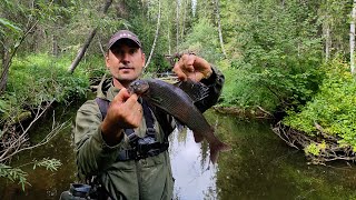 картинка: Рыбалка на Хариуса/ Попали на клев! Мухи из рыбьей кожи/ встретили медведя