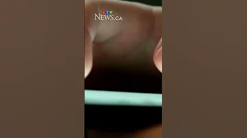 Quebec Couple Victims Of E Transfer Scam 