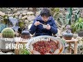 经典湘菜剁椒鱼头丨Chop bell pepper fish head丨小喜XiaoXi丨Cooking in Village丨Traditional Cooking