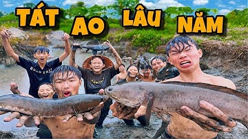 Anh Ba Phai | Một Ngày Tát Ao Bắt Cá Cực Vui Đầy Cá To 🐟
