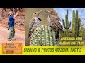 Birding chiricahua mountains se arizona part 3 july bird photography herping