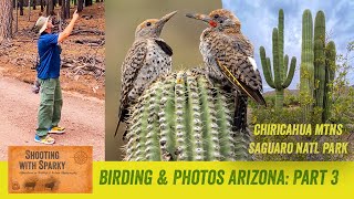 Birding Chiricahua Mountains SE Arizona Part 3 July Bird Photography Herping