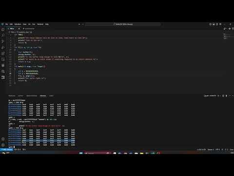 Buffer Overflow Walkthrough