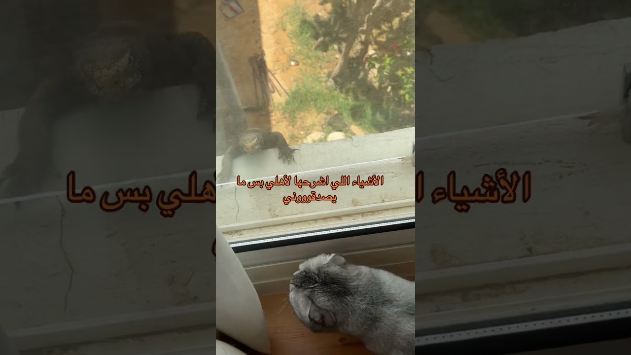 💛كود خصم نون الجديد : 🎀 Rimy 🎀