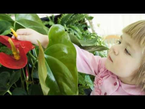 Вертикальное озеленение GrassHall. Нижний Тагил