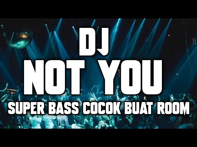 DJ NOT YOU - ALAN WALKER 2023 ( SUPER BASS COCOK BUAT ROOM ) class=