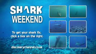 Shark Weekend - Get your Shark Fix