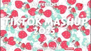 Tiktok Mashup November 2025 (Not Clean)