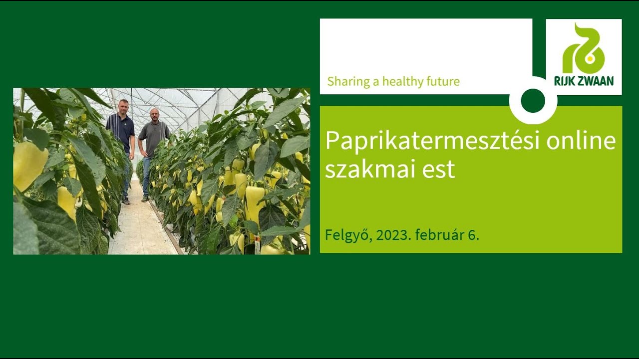 Rijk Zwaan paprikatermesztési szakmai est, 2023.02.06.