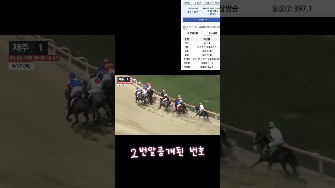 역씨  똥말이돈되네요 공개된 말2번