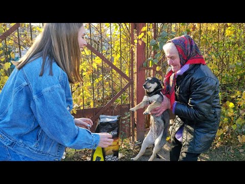 Video: Vidurinės mokyklos studentų aptarnavimo šuo įkvepia teisės aktus prieš diskriminaciją