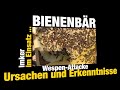 Wespenattacke - Ursachen und Erkenntnisse