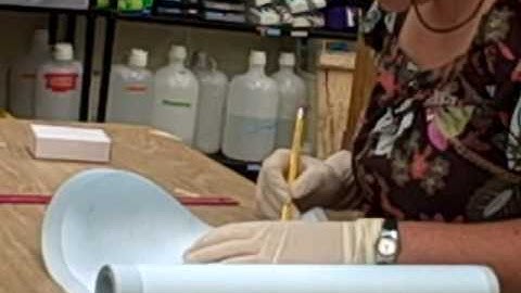 making of microarray simulation slide part one