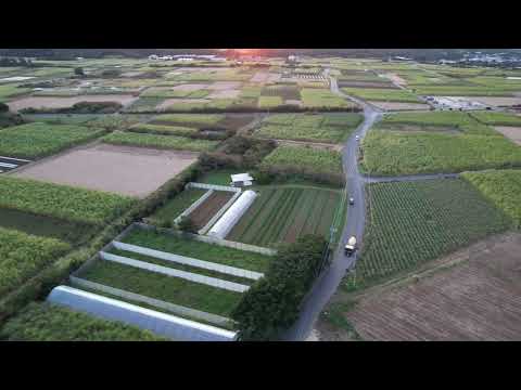 夕日とコンクリートミキサー車/喜界島(飛行許可・承認取得済)