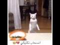 انسحاب تكتيكي ذكي هههههه