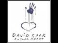Light On - David Cook (With Lyrics)