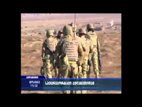 ქართველი მგლები