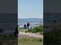 #shortsyoutube #germanytourism #Friedrichshafen#Bodensee#beautifulplaces