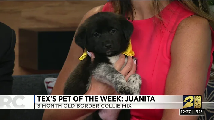 Pet of the week: Juanita