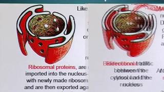 BIO734_Topic094