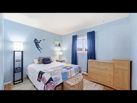 99 Redwood Ln, Massapequa Park, NY home video tour