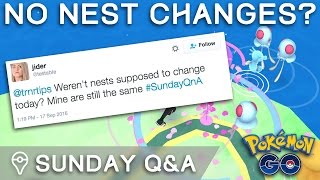 WHY DIDN'T POKÉMON NESTS CHANGE (Sunday Q&A #3)