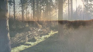 91 سورة الشمس - صوت الشيخ ياسر الدوسري