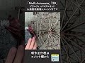 『NieR:Automata』「2B」プラスティックモデルキット＆遊園地廃墟イメージジオラマ制作 #Shorts #ニーアオートマタ #ジオラマ