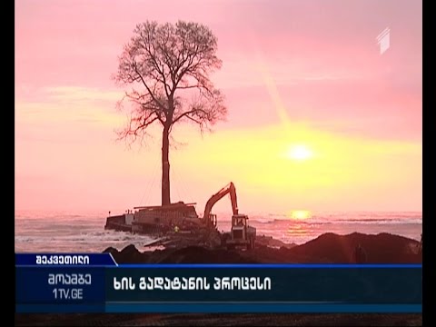 ასწლოვანი ხეტიტა კვლავ შეკვეთილის სანაპიროზე რჩება