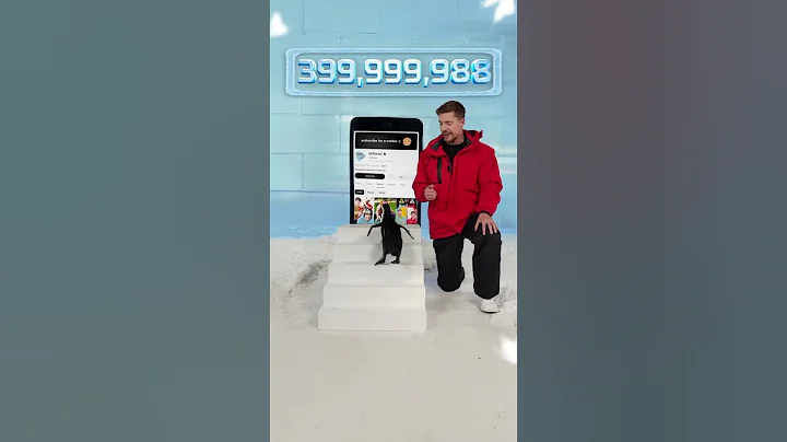 Can I Teach a Penguin To Subscribe #mrbeast #mrbeastchallenge