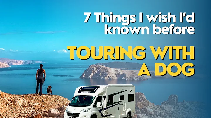 🐶 Van life with a dog - 7 things you need to know