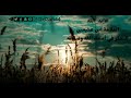 الرد على الشيخ مصطفى العدوي _ فتوى ابن عثيمين مدح مدارج السالكين mp3