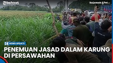 Heboh! Pencari Rumput Temukan Jasad Dalam Karung di Jawa Timur, Diduga Korban Pembunuhan
