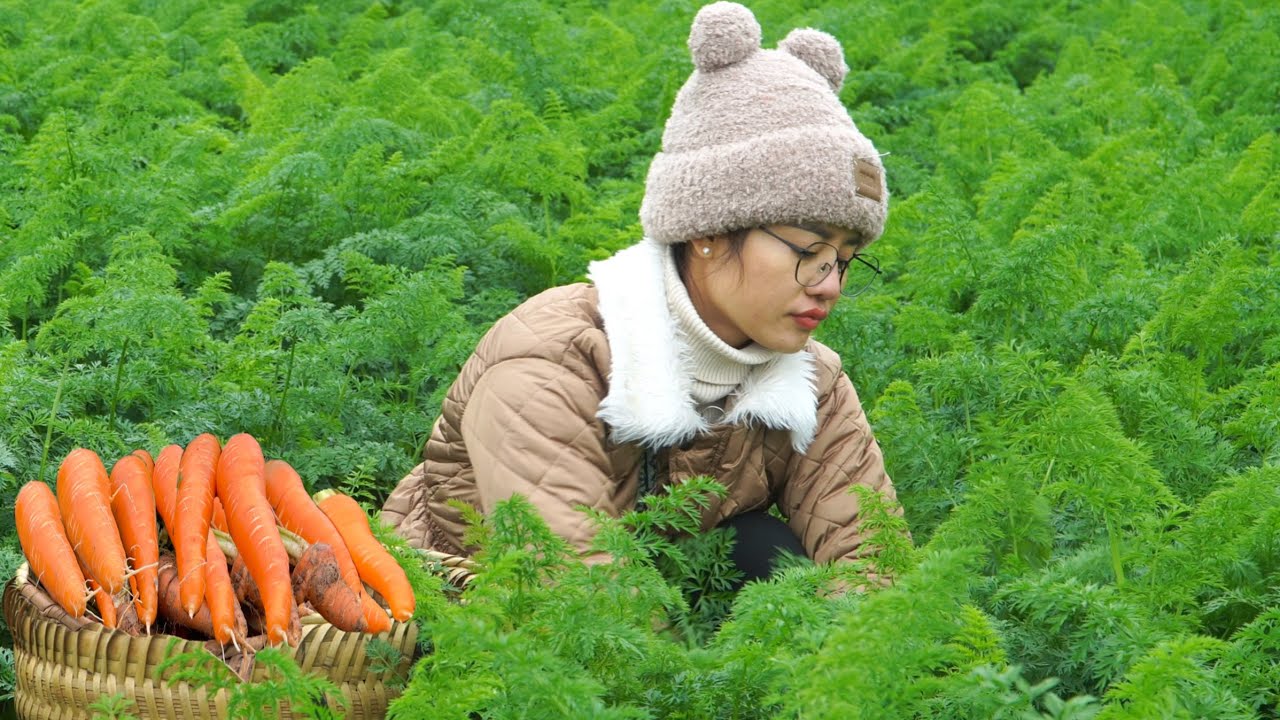 How to make jam from carrots, harvest carrots to sell at the market