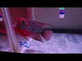 f2 動画写真5b
