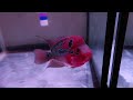 f2 動画写真5c