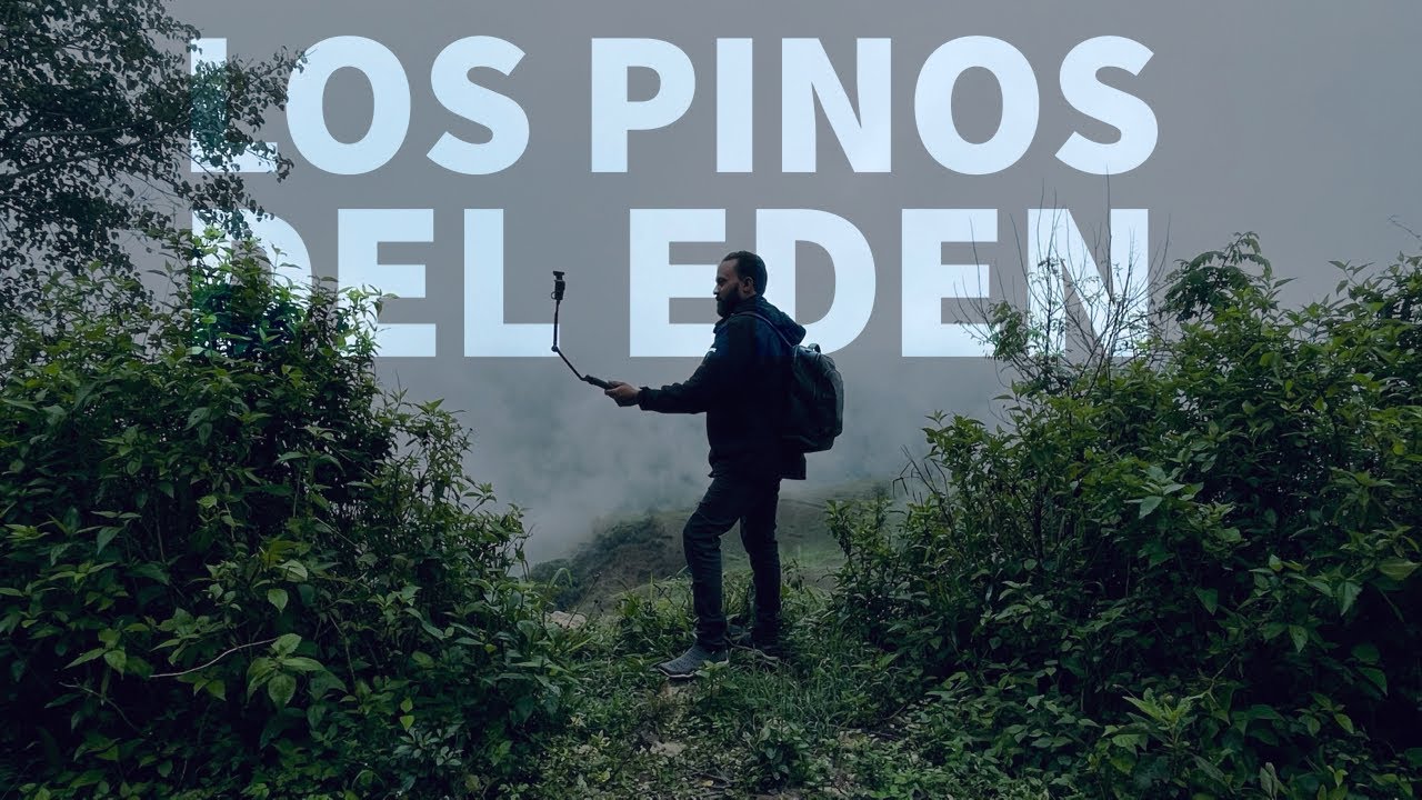 Asi se vive en los campos de  República Dominicana