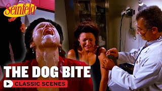 Elaine Needs A Rabies Shot | The Glasses | Seinfeld