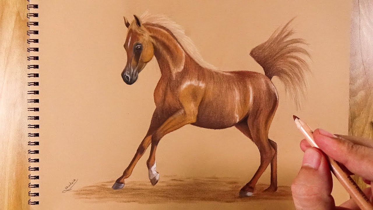Drawing a horse with pastel pencils Speed Drawing Videos YouTube