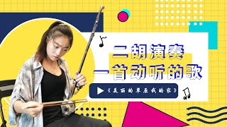 二胡|erhu|《美丽的草原我的家》|全曲蒙古族音乐风格浓郁，曲调清新，优美动听|中国民乐|Chinese folk music