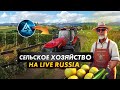 Стал фермером в русской деревне в игре LIVE RUSSIA CRMP MOBILE Android