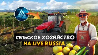 Стал фермером в русской деревне в игре LIVE RUSSIA CRMP MOBILE Android