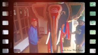 Mahakarya Mbah Mujo  |  Seni Gajah-gajahan