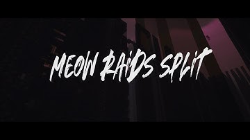 Meow Raids Split | JartexNetwork | Immortal