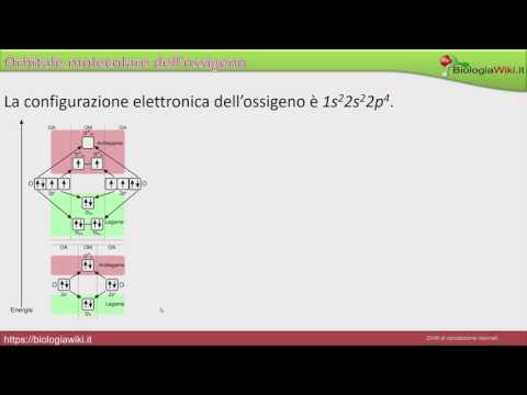 Video: Qual è l'ordine di legame di n2 -?