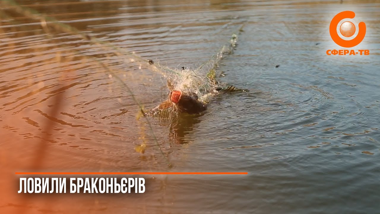 Витягнули сотні метрів сіток: на Рівненщині рибпатрульні провели масштабний рейд