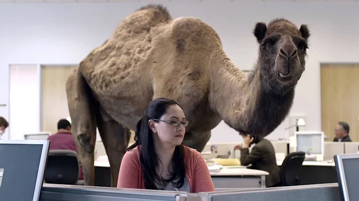 Hump Day Camel Commercial - Happier than a Camel o...