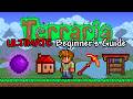 The Ultimate Beginner39s Guide to Terraria spoilers The Ultimate Beginner39s Guide to Terraria spoilers